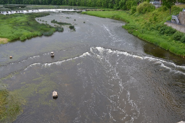 view from the bridge