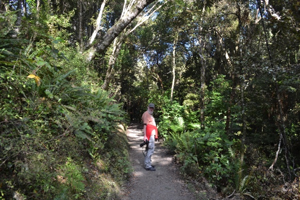 Guy on the trail