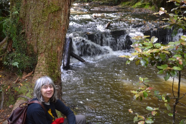 Touché at the small falls