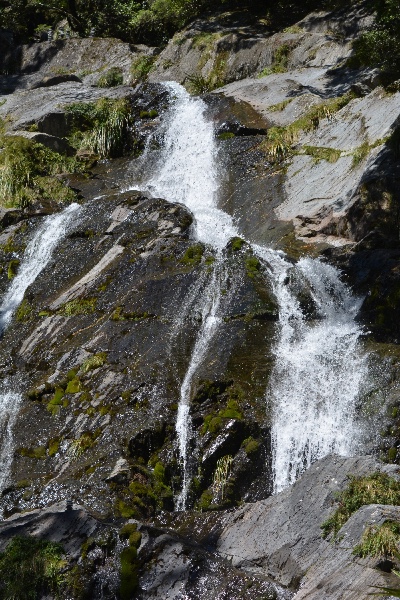 fanning out over the rocks