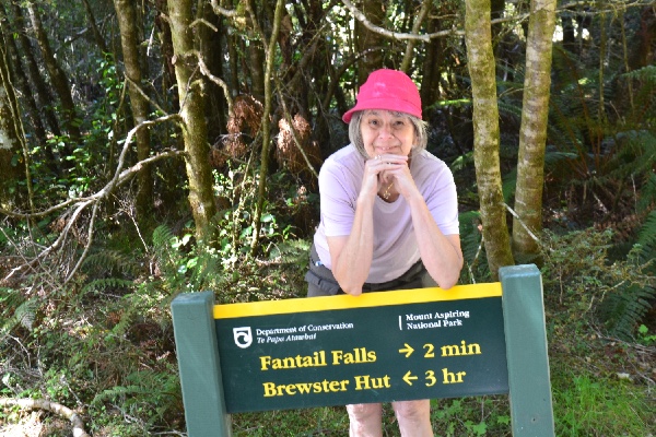 access to the Fantail Falls trail