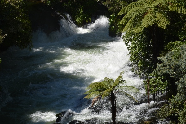 Okere Falls