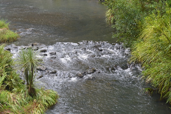 rapids border the pool