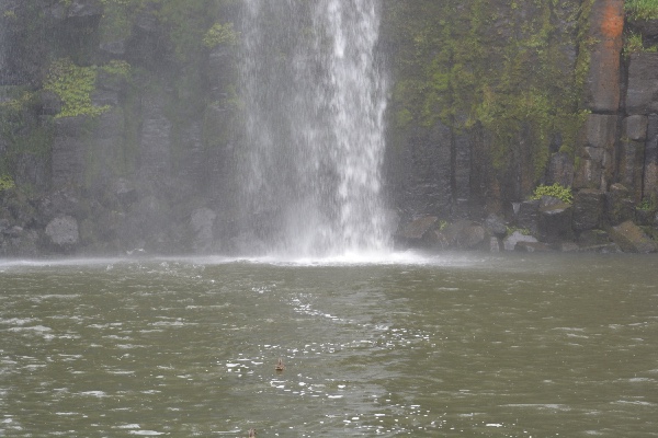 swimming under the falls