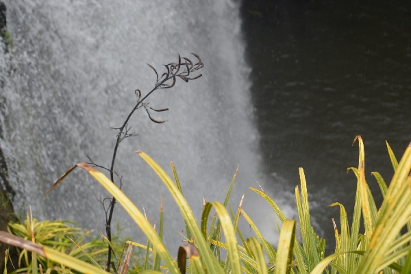 flax and water