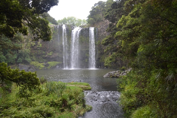 Whangarei Falls