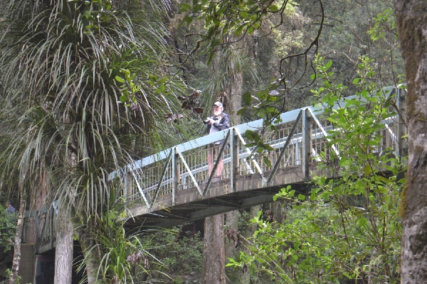 Guy on the bridge in front of the Falls