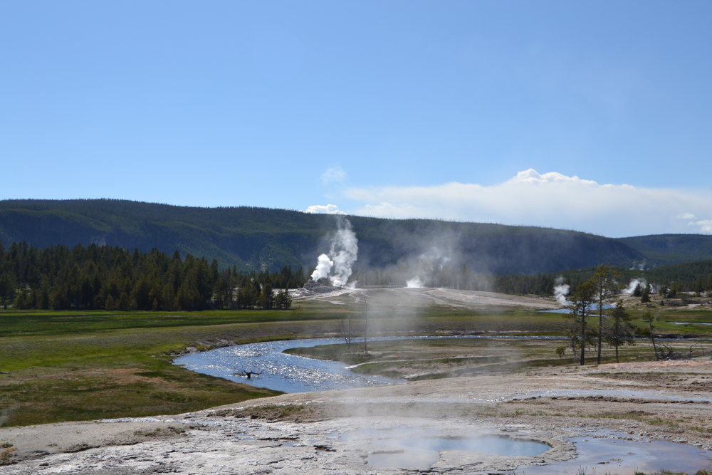 Yellowstone National Park