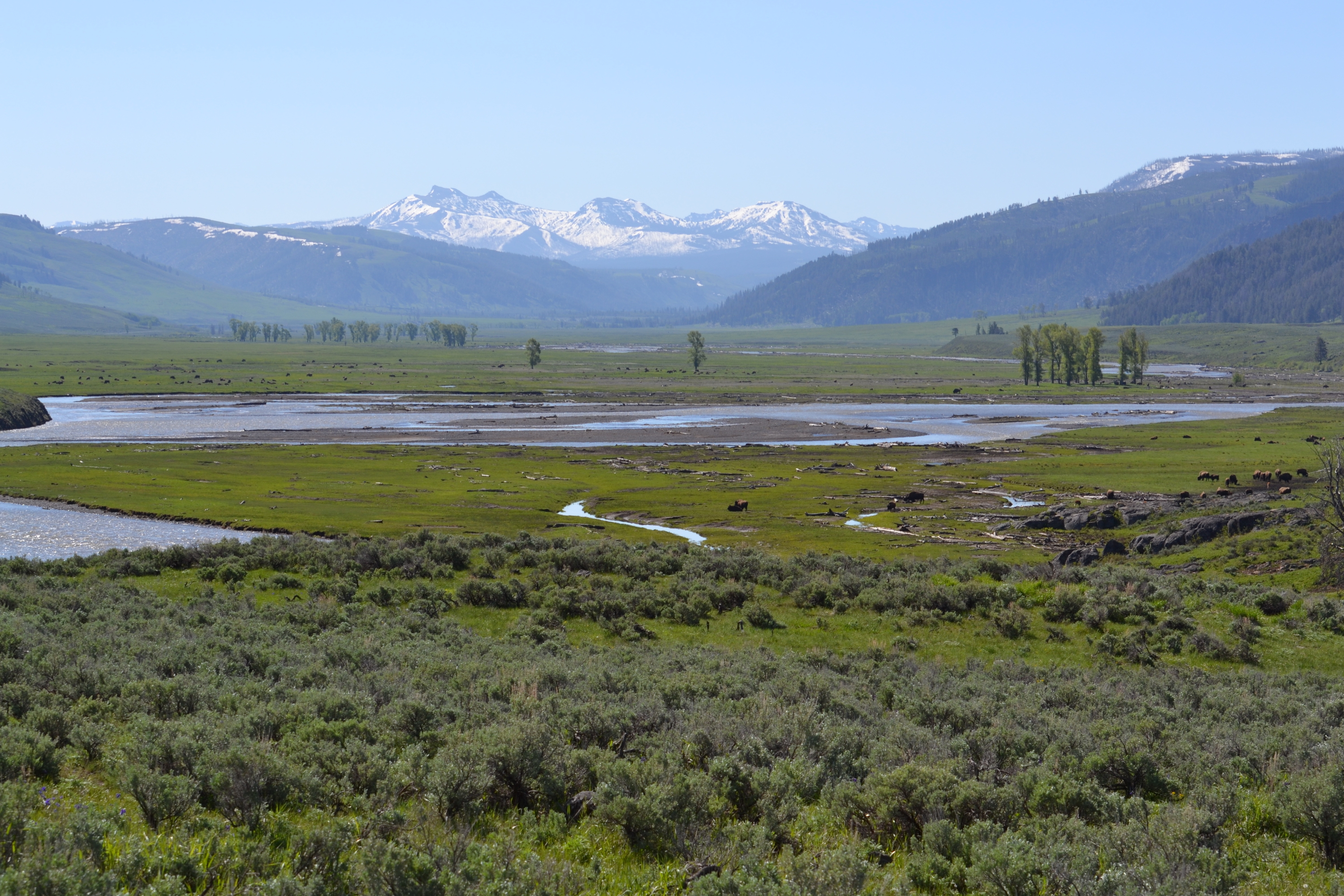 Lamar Valley