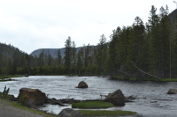 Madison River