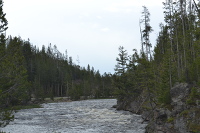 rapids on Madison River