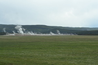 smoking fields