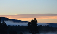 early morning blue mist