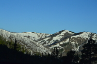 icy stubbled mountains