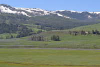 the valley, the trees, the mountains