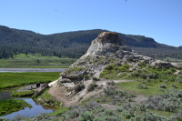 bison behind the butte