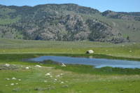 a peat bog high up