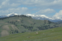 Rocky Mountains in the distance