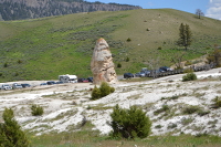 Liberty Cap