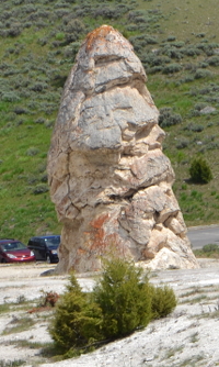 Liberty Cap