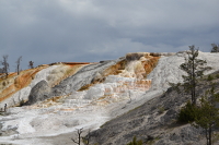 Hotspring terraces at Mammoth