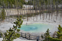 Cistern spring