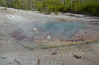 Echinus geyser