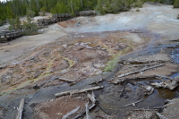 multicoloured streams