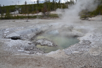 steambath anyone?