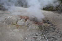 Puf'n-stuff geyser