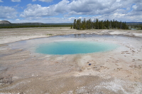 the Opal pool