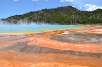 Prismatic Spring colours