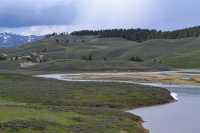 the Yellowstone meanders through Hayden valley