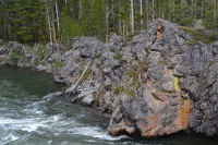 lichens on the Yellowstone river