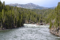 Yellowstone River