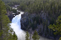 Higher Falls of Yellowstone