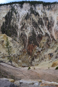 Yellowstone Canyon