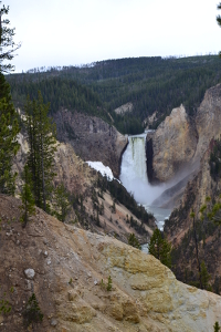 Lower Falls of Yellowstone