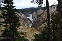 Lower Falls of Yellowstone