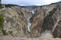 the Yellowstone in its canyon