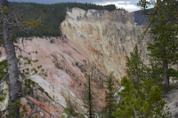 looking into the canyon