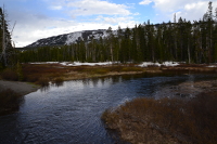 down the Lewis River