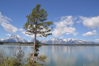 Jackson Lake panorama