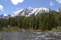 the Cottonwood Creek