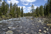 the Cottonwood merrily tumbling down its path