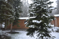 snow on our log cabin home at Togwotee