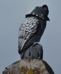 a strange owl on a pole at Togwotee