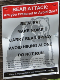 be bear aware!