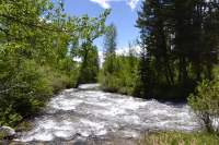 whitewater creek
