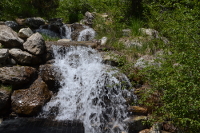 waterfall on Lake Creek